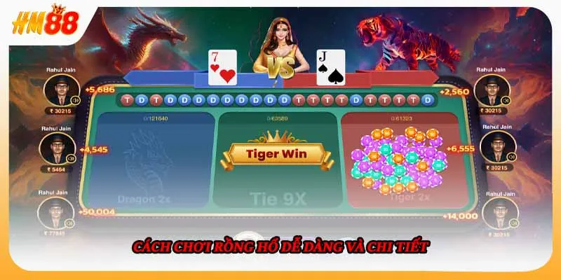 Cách chơi rồng hổ dễ dàng và chi tiết