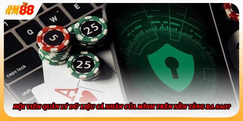 Hội viên quản lý dữ liệu cá nhân của mình trên nền tảng ra sao?