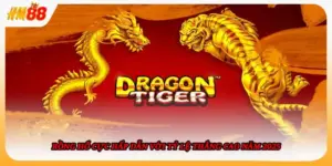 Rồng Hổ Cực Hấp Dẫn Với Tỷ Lệ Thắng Cao Năm 2025